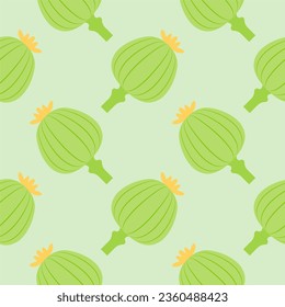 ilustración vectorial de la adormidera sin fisuras