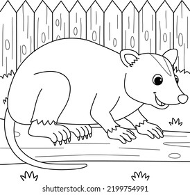 Opossum Animal Coloring Page for Kids