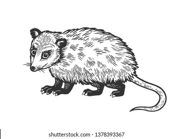 Opossum animal sketch engraving vector illustration. Scratch board style imitation. Black and white hand drawn image.