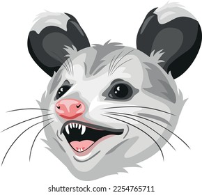 Opossum head isolated on white. Vector