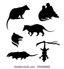 Opossum icons and silhouettes. Set of illustrations in different poses.