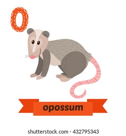 Opossum. O letter. Cute children animal alphabet in vector. Funny cartoon animals. Vector illustration