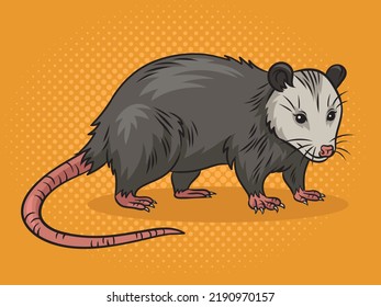 Opossum possum animal pop art retro vector illustration. Comic book style imitation.