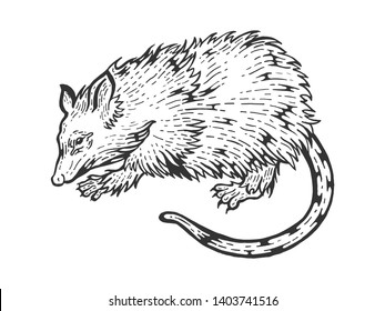 Opossum rat animal sketch engraving vector illustration. Scratch board style imitation. Black and white hand drawn image.