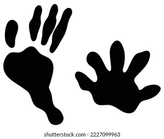 opossum track foot print vector, mouse oppusum foot print 