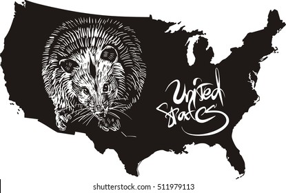 Opossum and U.S. outline map. Black and white vector illustration.