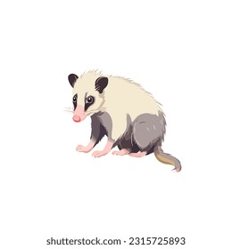 opossum vector 2d flat color white background