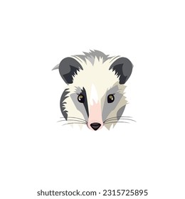 opossum vector 2d flat color white background