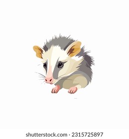 opossum vector 2d flat color white background