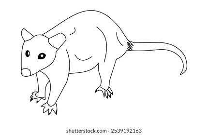 Opossum vector, Opossum art, Opossum drawing, Opossum colouring page