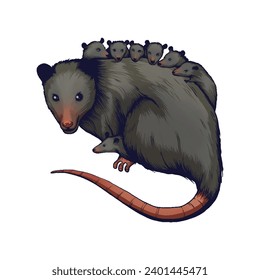 Opossums are marsupials, carrying and nursing their young in a pouch