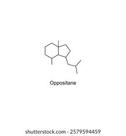 Oppositane skeletal structure.Sesquiterpene compound schematic illustration. Simple diagram, chemical structure.