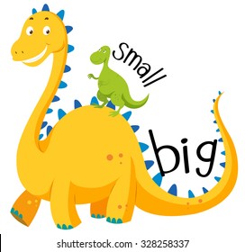 Opposite Adjective Big And Small Illustration