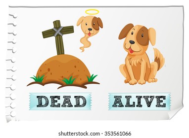 Adjetivo opuesto con ilustración muerta y viva