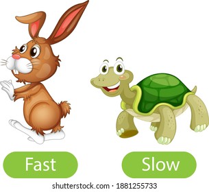 Opposite adjective words with fast and slow illustration