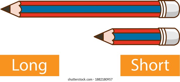 Opposite adjective words with long pencil and short pencil on white background illustration