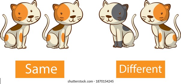 Opposite adjective words with same and different illustration