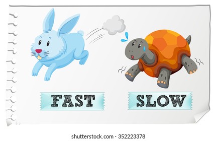 181 Opposite fast slow Images, Stock Photos & Vectors | Shutterstock