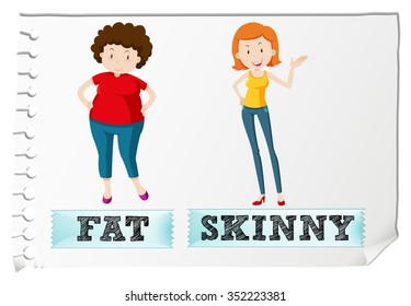 Opposite adjectives fat and skinny illustration