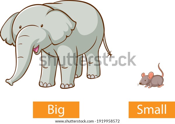 Opposite Adjectives Words Big Small Illustration Stock Vector (Royalty ...