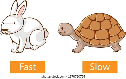 Opposite adjectives words with fast and slow illustration