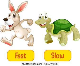 Opposite adjectives words with fast and slow illustration