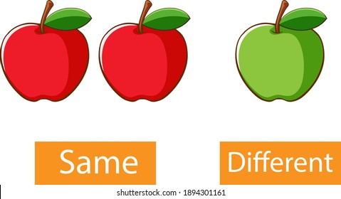 Opposite adjectives words with same and different illustration