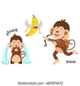 Opposite afraid and brave vector illustration