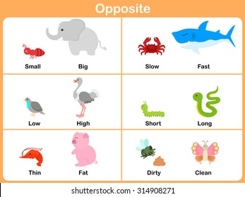 Opposite with animals for preschool - Worksheet for education