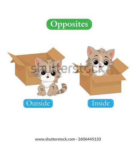 Opposite antonym words with cat outside and inside the box vector illustration
