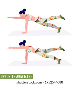 Opposite Arm and Leg exercise, Woman workout fitness, aerobic and exercises. Vector Illustration.	