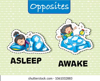 Opposite Asleep And Awake Flashcard 