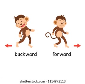 Opposite backward and forward vector illustration