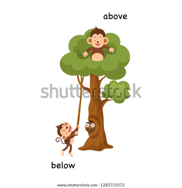 Opposite below and above vector illustration