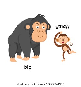 Opposite Big And Small Vector Illustration