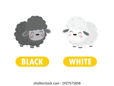 Opuesto antónimo de palabras en blanco y negro para niños con personajes de dibujos animados linda oveja pequeña, animal divertido Ilustración del vector plano aislado en fondo blanco