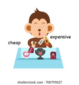 Opposite Cheap And Expensive Vector Illustration