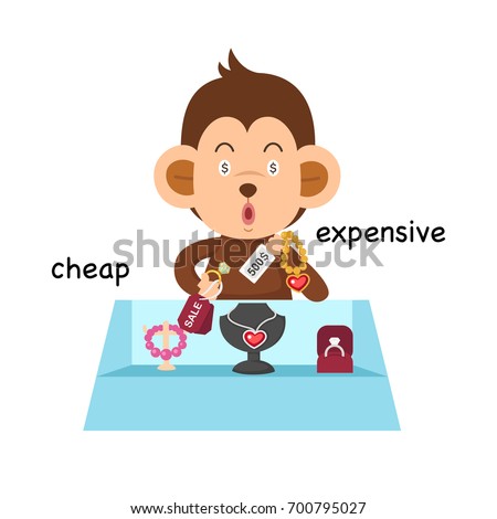 Opposite cheap and expensive vector illustration