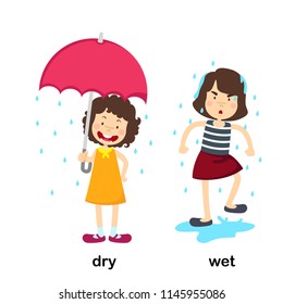 Opposite dry and wet vector illustration
