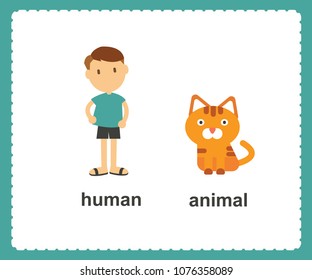 Opposite English Words human and animal vector illustration