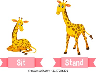 Opposite English Words sit and stand illustration