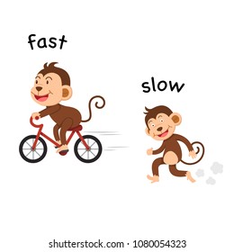 Opposite fast and slow vector illustration