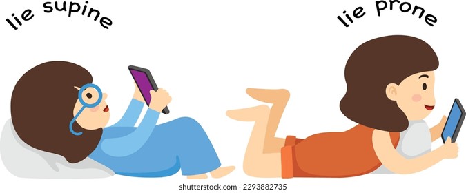 Opposite lie supine and lie prone vector illustration