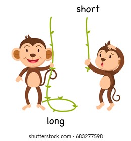 Opposite Long And Short Vector Illustration