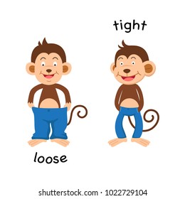 Opposite  loose and tight vector illustration