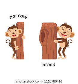 Opposite narrow and broad vector illustration