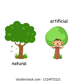 Opposite natural and artificial vector illustration