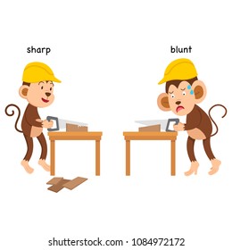 Opposite sharp and blunt vector illustration