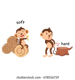 Opposite soft and hard vector illustration