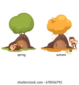Opposite spring and autumn vector illustration